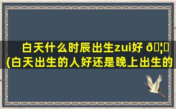 白天什么时辰出生zui
好 🦍 (白天出生的人好还是晚上出生的人好)